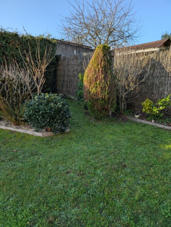 Taille douce et structure du jardin