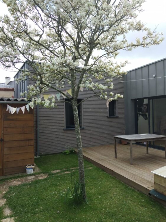 Cour-jardin urbaine au printemps